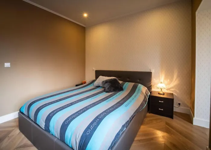 Duplex Jeanne D'arc Billard Baby En Option Escape Game Insolites Appartement *